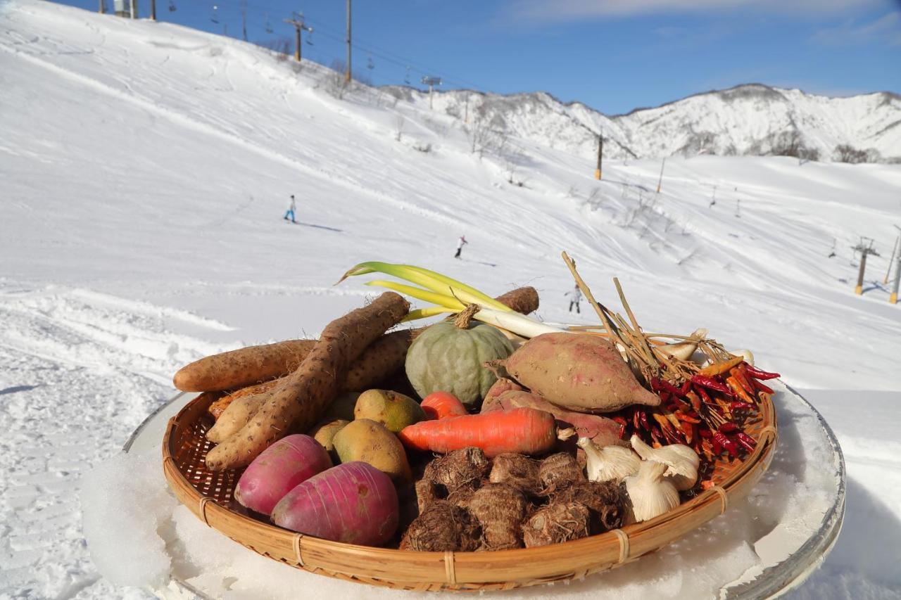 Ishiuchi Ski Center Minamiuonuma Экстерьер фото